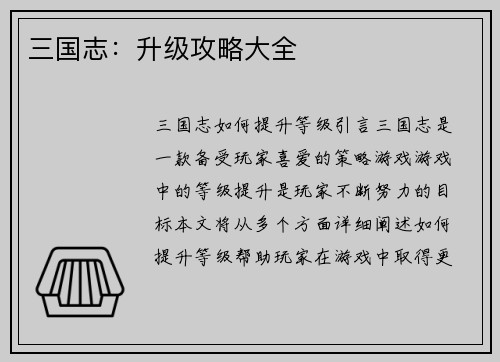 三国志：升级攻略大全